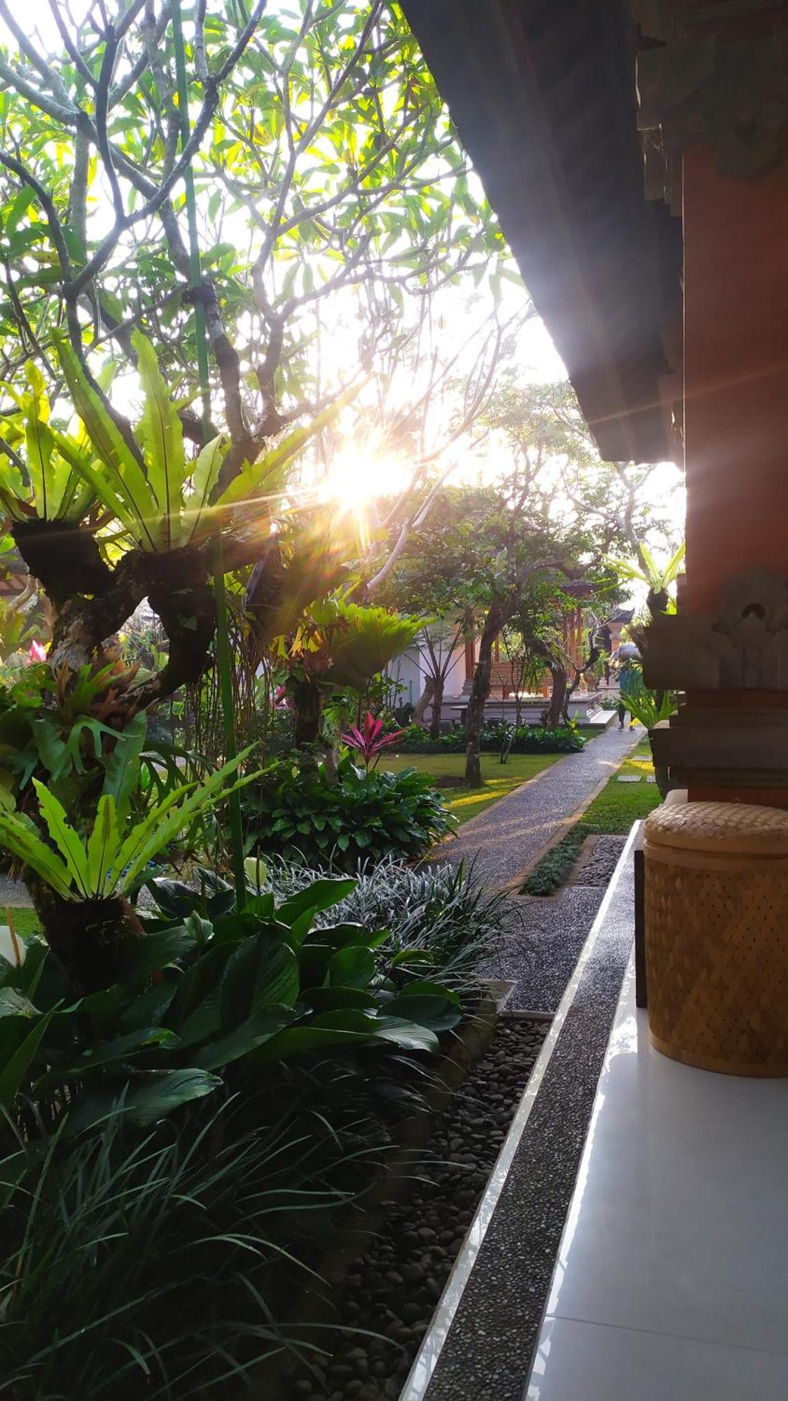 Affittacamere Umah Alas Ubud